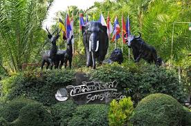 ดาวน์โหลด (1)